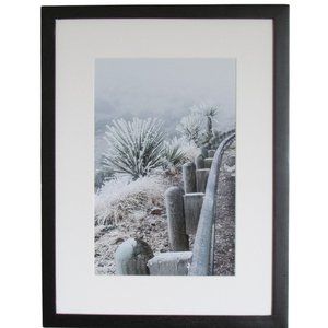 Framed Limited Edition Photography - West Texas Frozen Fog